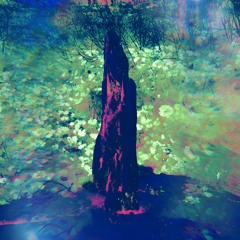 Do You Wanna Fracture