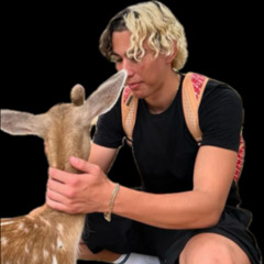 Racunraska Gimnazija (DARKSIDE)