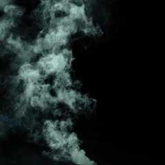 through the smoke there stood a home