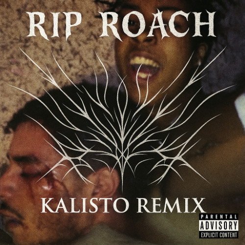 RIP ROACH