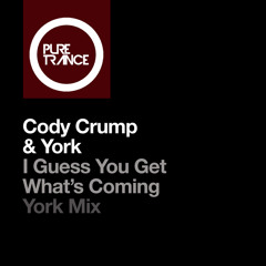 I Guess You Get What's Coming (York Extended Mix)