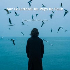 Sur Le Littoral Du Pays De Caux - On the Coast of the Country Of Caux