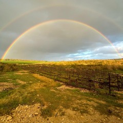 Passover Trance 2025-04-12