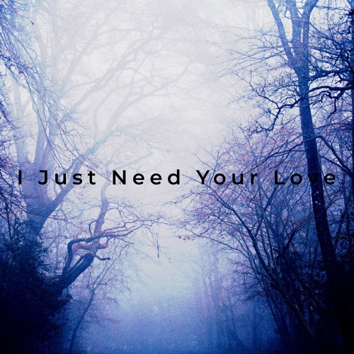 I Just Need Your Love