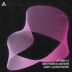 2 Funky 2 - Brothers & Sisters (Andy Locker Remix)