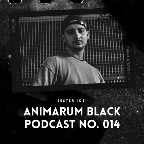 ABP No. 014 - Jester (DE)