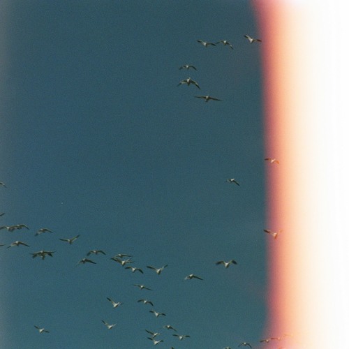 floating