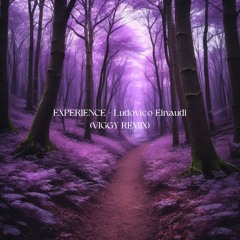 Ludovico Einaudi - Experience (VIGGY REMIX)