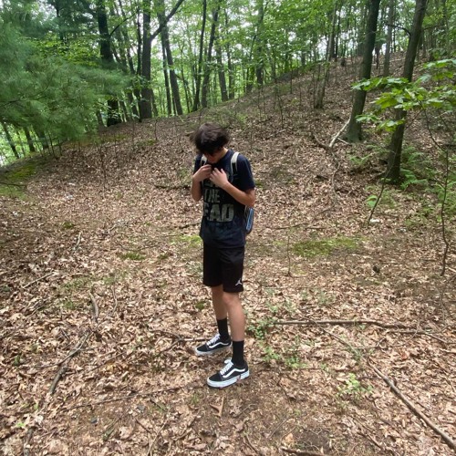 Sappp-Need sumn mp.3