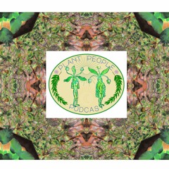 Plant People Podcast Episode 1: Rachel Weaver