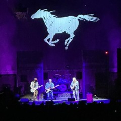 Neil Young and Crazy Horse Live at Camden, NJ on May 12, 2024