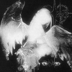 chrysalism w/ kyxida