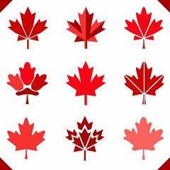 🍁son2teuf🍁