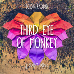 Third Eye of Monkey - Dance Temple - Boom Festival 2025