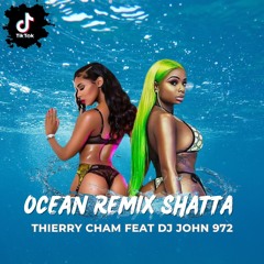 Thierry Cham - Océan - Shatta Remix Extrait ( Dj John 972)