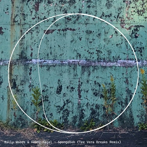 Billy Woods & Kenny Segal - Spongebob (Tee Vera Breaks Remix)