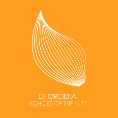 Echoes Of Infinity (Extended Mix)