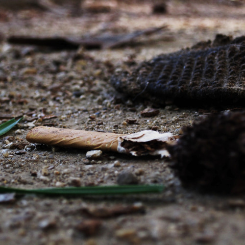 Demons in the Rhythm