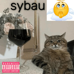 sybau [prod. gavla]