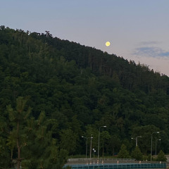 Симоненко - Море радості (3am walk)