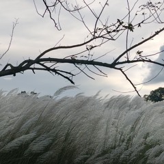 an october lullaby, the ever constant motion of time