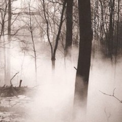 Foggy Pathways