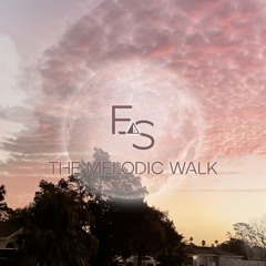 the melodic walk (2h mix)