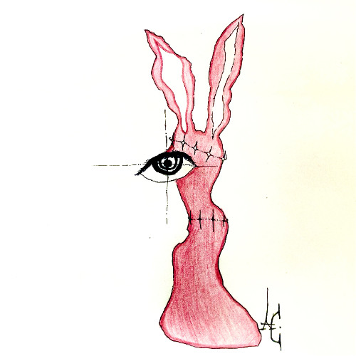 RABBIT HOLE