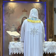 Fraction & Confession - Fr Moses Abba Shenouda