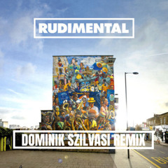 Rudimental - Waiting All Night (Dominik Szilvasi Remix) [FREE DL]
