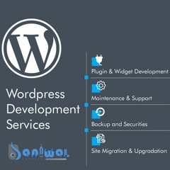 Get Custom WordPress Development Services #USA #Kasson | Baniwal Infotech