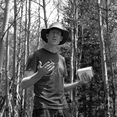 Populus tremuloides: Greg Ragland