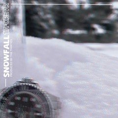 Snowfall - 17Forevr