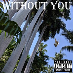 Without You Feat.ChrisOptified