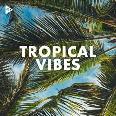 Tropicale mix Dj OZER SKY