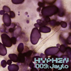 hyphen mix 009 - Jaylo