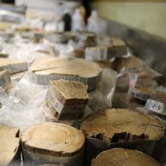 Chemins d'histoire-Bois, climat et société en Alaska aux XIe-XIIIe s., avec J. Taïeb-01.02.25