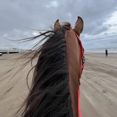 🛫🐎