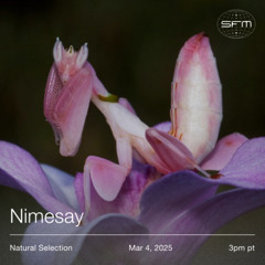 NS020: Nimesay