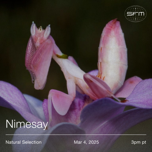 Natural Selection: Nimesay