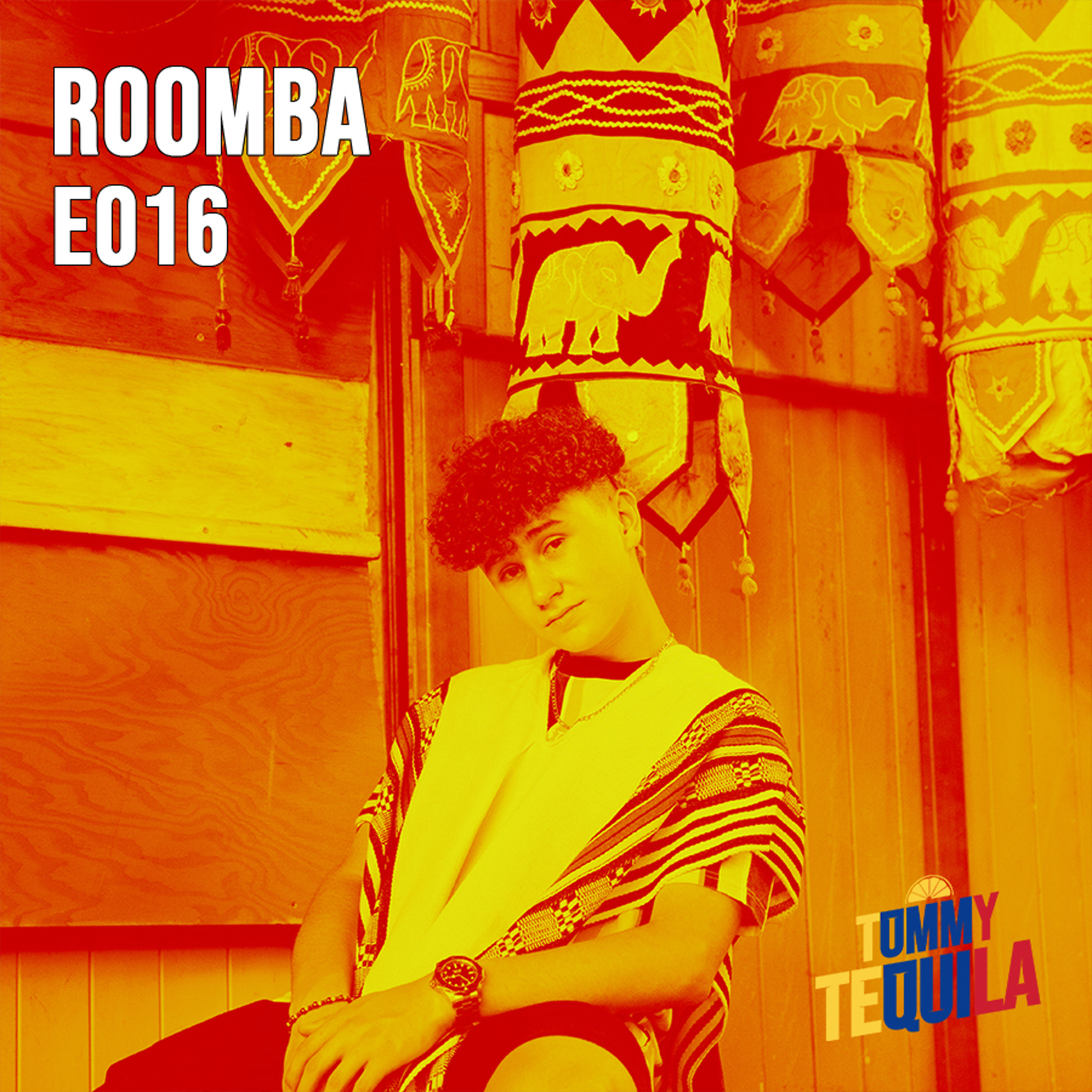 ROOMBÁ 016 thumbnail