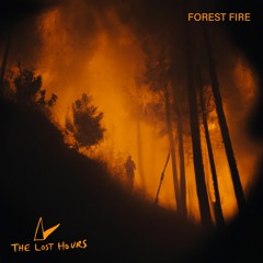 The Lost Hours - Forest Fire (Radio Version)