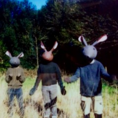 Hares On The Mountain (cover)