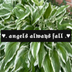 ♥. 𝖆𝖓𝖌𝖊𝖑𝖘 𝖆𝖑𝖜𝖆𝖞𝖘 𝖋𝖆𝖑𝖑 .♥