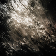 𝑷𝒓𝒆𝒎𝒊𝒆𝒓𝒆: Archypness - Forgotten