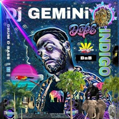 DJ Gemini♊indigo jungle Classics mixed podcast 🕉☝🎙🎚📀🎛📀🎚☝🕉