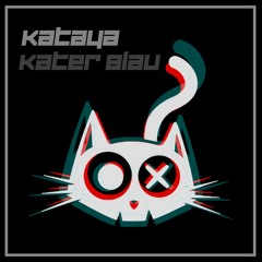Groovebogen Acid ❤ Kater Blau
