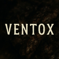 SEKTION 3 MIX | VENTOX