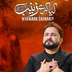 Kya Kare Zainab (s.a)  --  Syed Raza Abbas Zaidi  --  2025