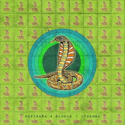 Kapibara, Oluhle - Ithemba (ABRA024) [clip]